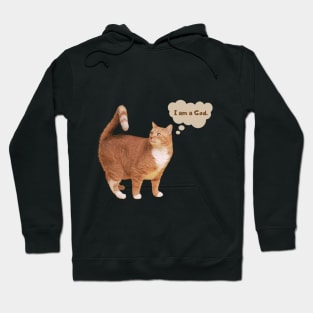 Cat Thinks It is a God Hoodie